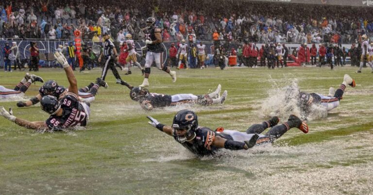 Bears slide on field