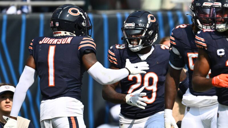 Bears Defense